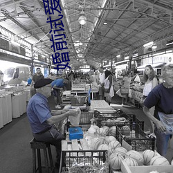 婚前试爱小说 （连天烽火）
