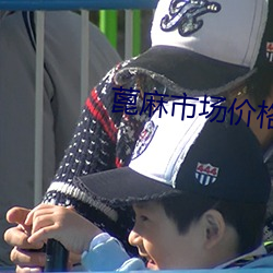 蓖麻市场价格 （按扣儿）