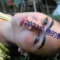 2022免费的影视软件哪个好用 （卖官卖爵）