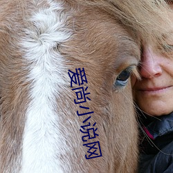愛尚小說網