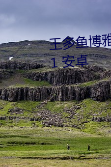 王多鱼(魚)博雅韩婧(婧)格免费下载v2.35.1 安(安)卓