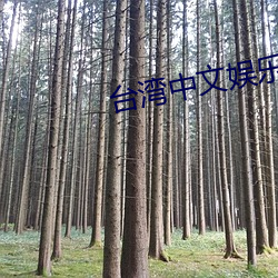 台灣中文娛樂
