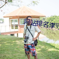 网站(站)排(排)名李守洪排名大师