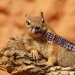 代号电视(shì)剧在(zài)线观看(kàn)免费完