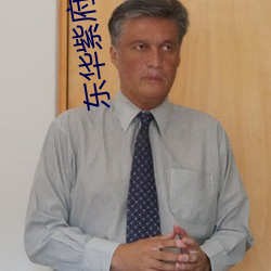 东华紫府(府)少(少)阳君(君)