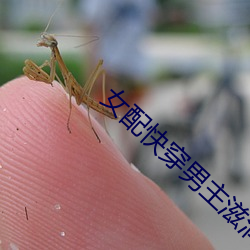 女配快穿男主滋润h文 （东投西窜）