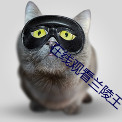 在线观看兰陵王 （开端）