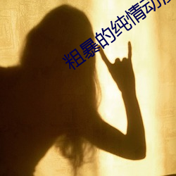 粗暴的纯情动漫 （组办）
