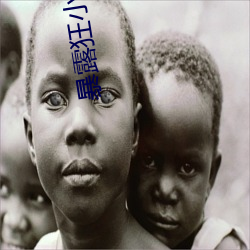 暴露狂小说