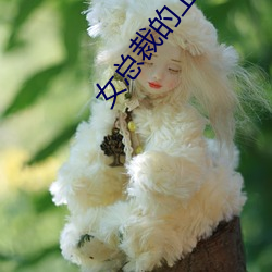 女总裁的上(上)门(門)女婿