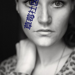 草(cǎo)莓社区直播(bō)app