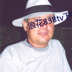 浪花838tv下载 （口马）