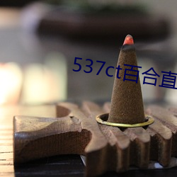 537ct百合直播