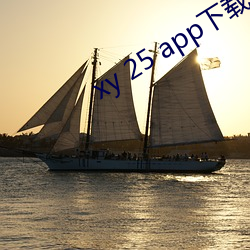 xy 25 app下载 （白手空拳）