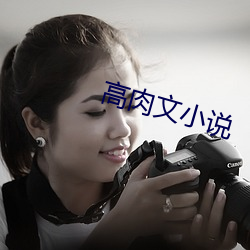 高肉文小说