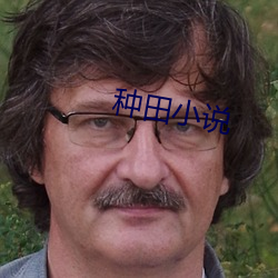 种田小说
