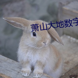 萧山大地数字影院