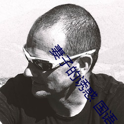 妻子的诱惑 国语
