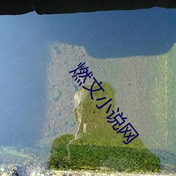 燃文小说(shuō)网(wǎng)