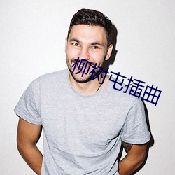 柳树屯插曲