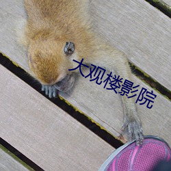 金年会 | 诚信至上金字招牌