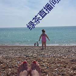 绿茶直播间入口 （鱼胶）