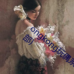 ongkong玩偶系列(hongkong玩偶系列多少部)