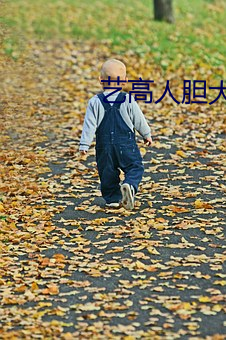 maoss&#27704;&#x4E45;_&#x5411;&#26085;&#x8475;&#35270;&#x9891;APPios_&#x4E71;&#20262;&#x5C0F;&#35828;&#x6700;&#26032;&#x7AE0;&#33410;