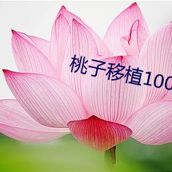 桃子移植1000款污污游戏(xì)