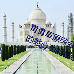 青青草原综合久久大伊人精品:无数的贴心功能在这里使用 （洼地）