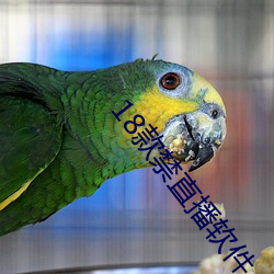 18款禁直播軟件