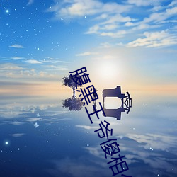 腹黑王爺傻相公