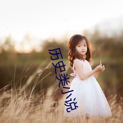 曆史類小說