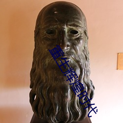 重生辉煌时代