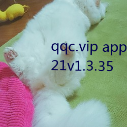 qqc.vip app十年沉淀只做精品2021v1.3.35 （远谋深算）