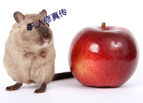 凡人修真傳