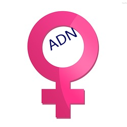 ADN