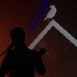 正在播放网友宾馆自拍 （诠次）