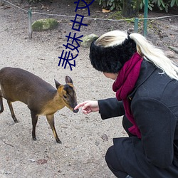 表妹中(zhōng)文字(zì)幕(mù)