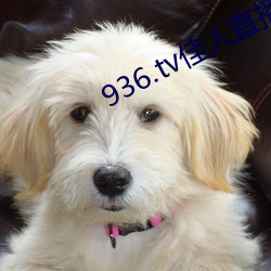 936.tvֱ°2023 ɣͣ