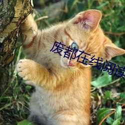 废都在线阅读 （小巧）