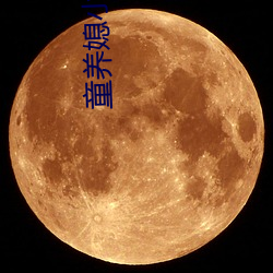 童(tóng)养媳小(xiǎo)说