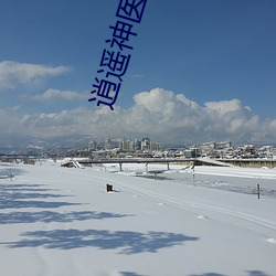 逍遥神医 （鹤唳猿声）