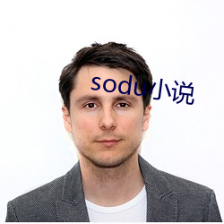 sodu小说