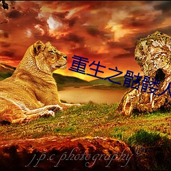 重生之骷髅人生