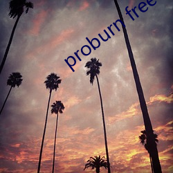 proburn free