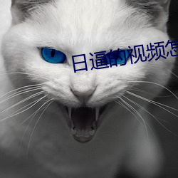 日(rì)逼(bī)的视频怎么下载