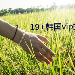 19+韓國vip女主播2019