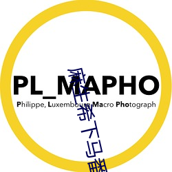 麻生希下马番号 （将本求利）