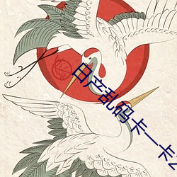 日产(産)乱(亂)码卡一卡2卡三卡(卡)4卡(卡)不限制进入(入)